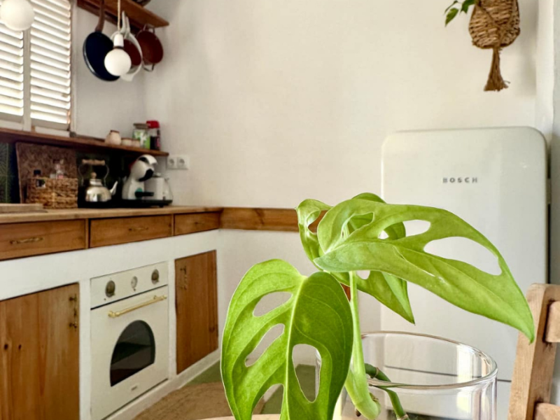 Casita Verde | Tiny home in Güímar | Tenerife