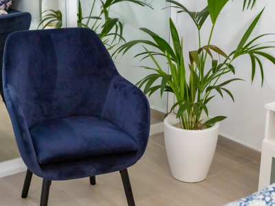 Paradise Home with Ocean View | Playa Paraiso