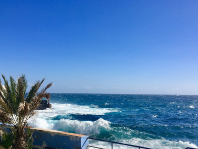 Cactus Casita Unique Oceanfront studio Tenerife