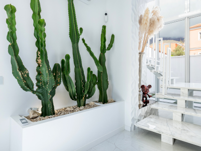 New and Luxurious Villa Los Olivos | Adeje | Tenerife