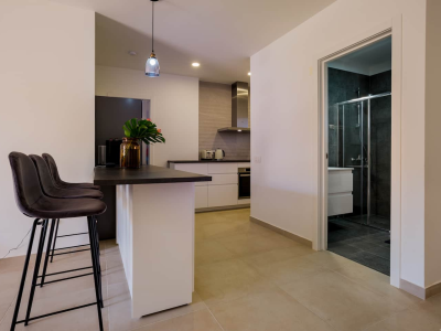 Ocean Breeze Apartment with Great Terrace | Del Duque