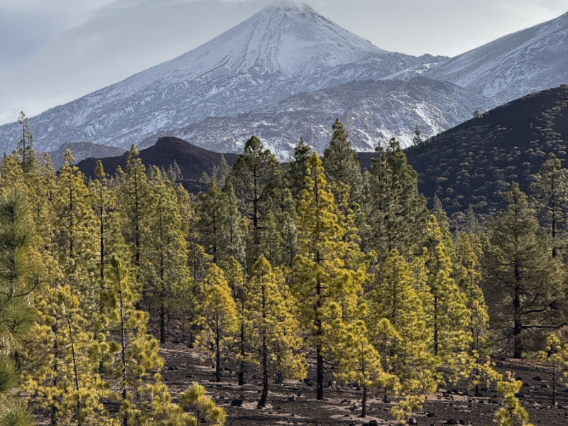 Arguayo Zen House for Yoga Meditation & Health Retreats