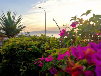 Cozy Canarian Bungalow with Garden & AirCon | 2B | Los Gigantes