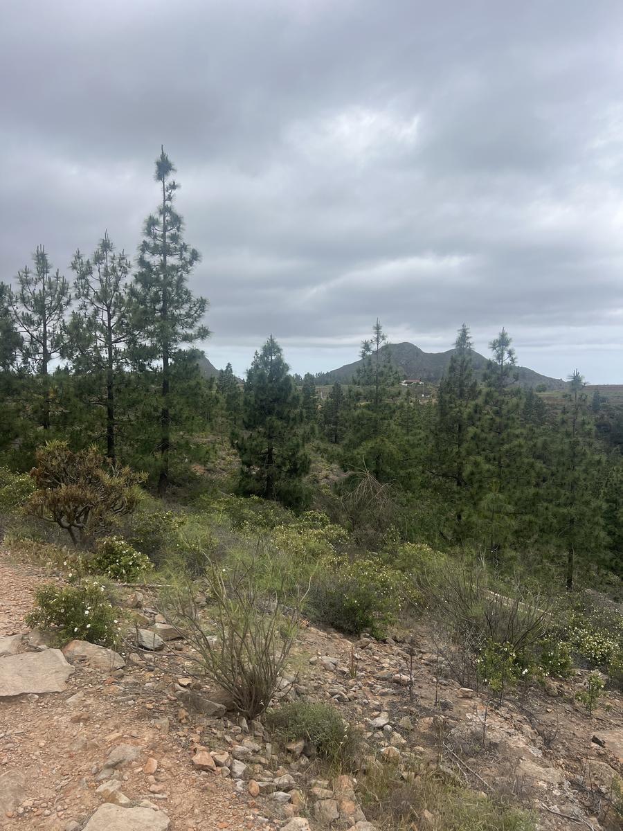 Hike photo 5