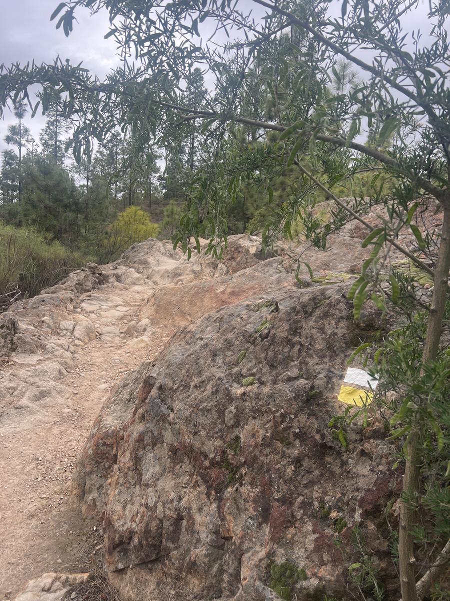 Hike photo 4