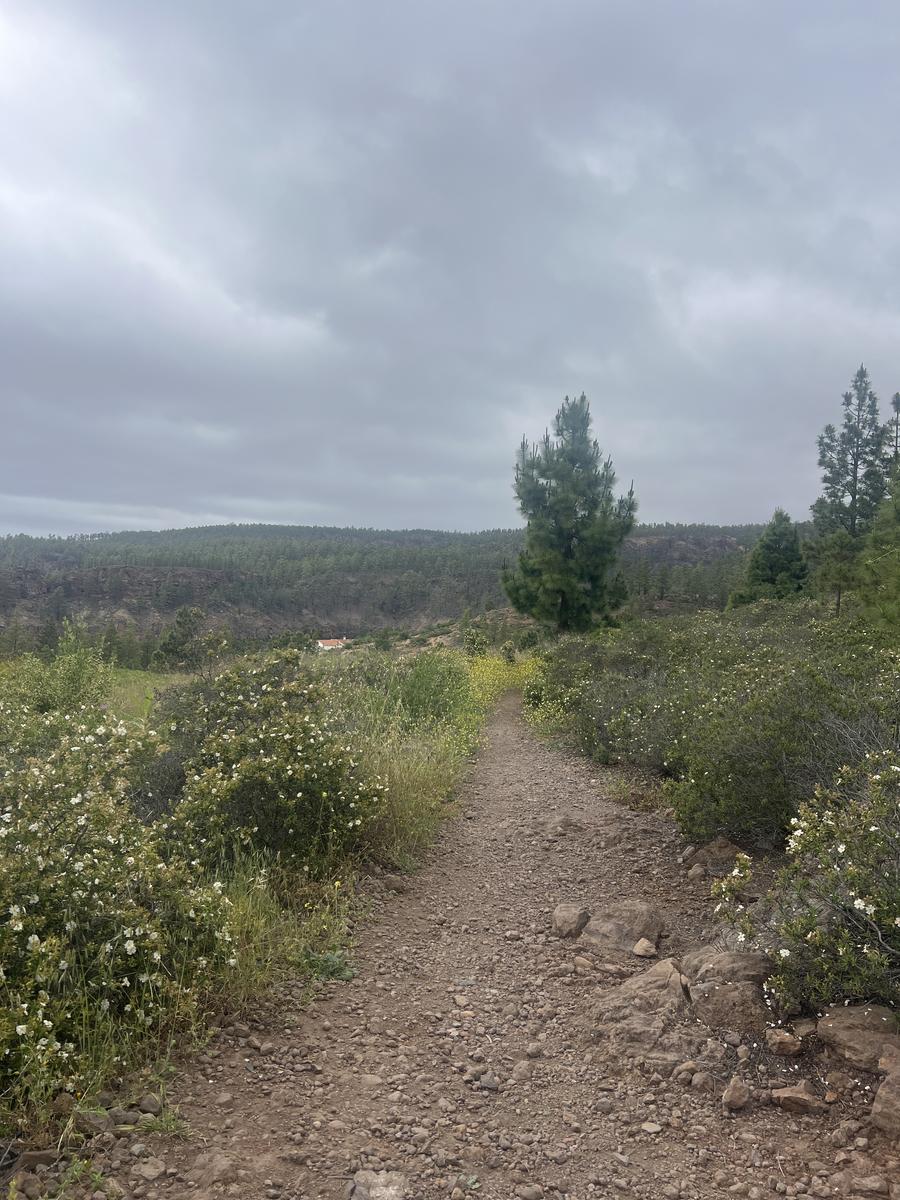Hike photo 6
