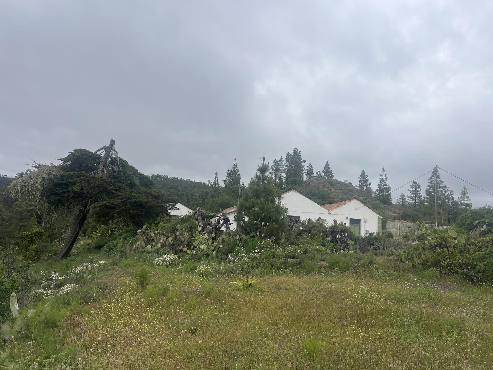 Hike photo 7