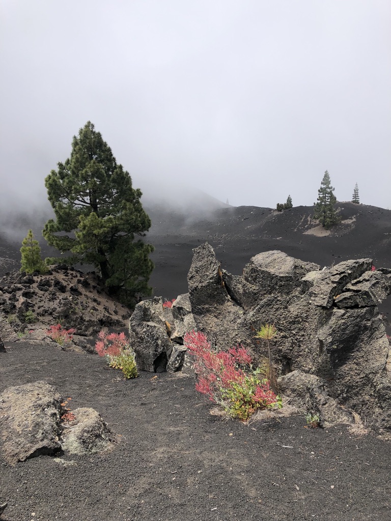Hike photo 7