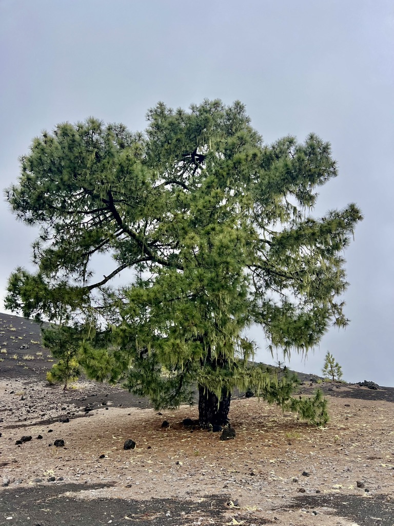 Hike photo 5