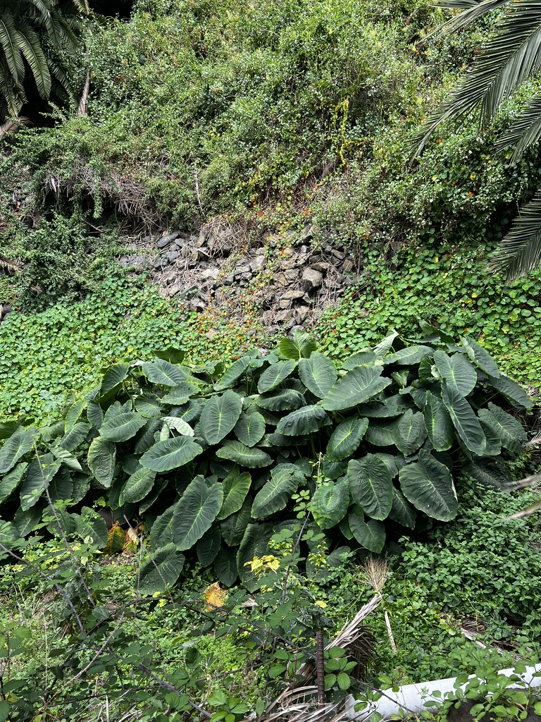 Hike photo 5