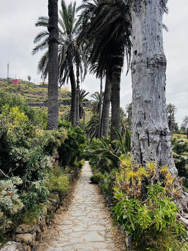Hike photo 7