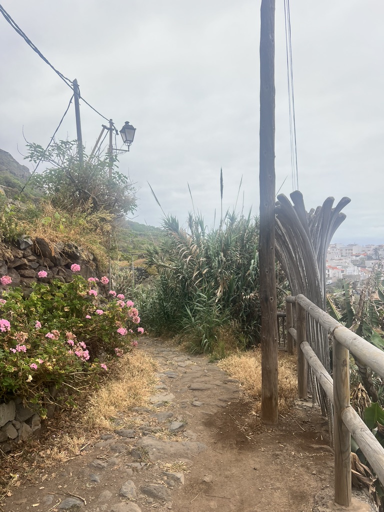 Hike photo 6