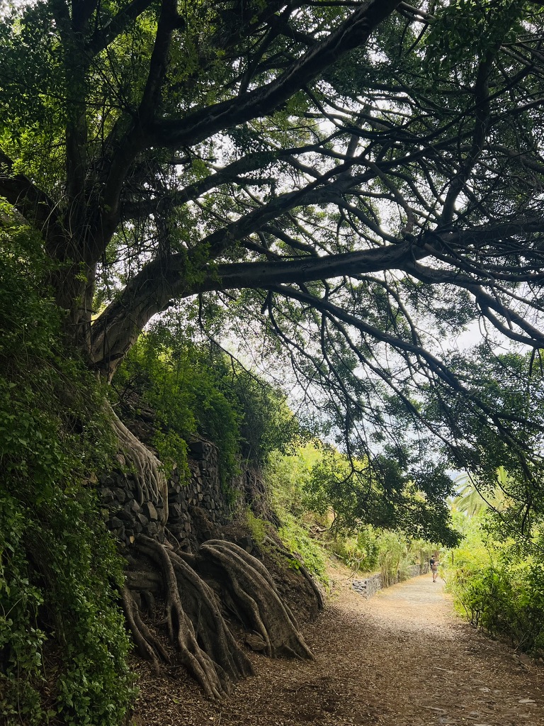 Hike photo 2