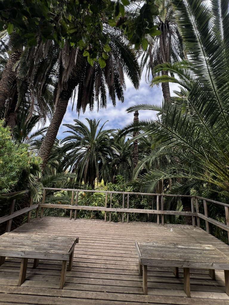 Hike photo 6
