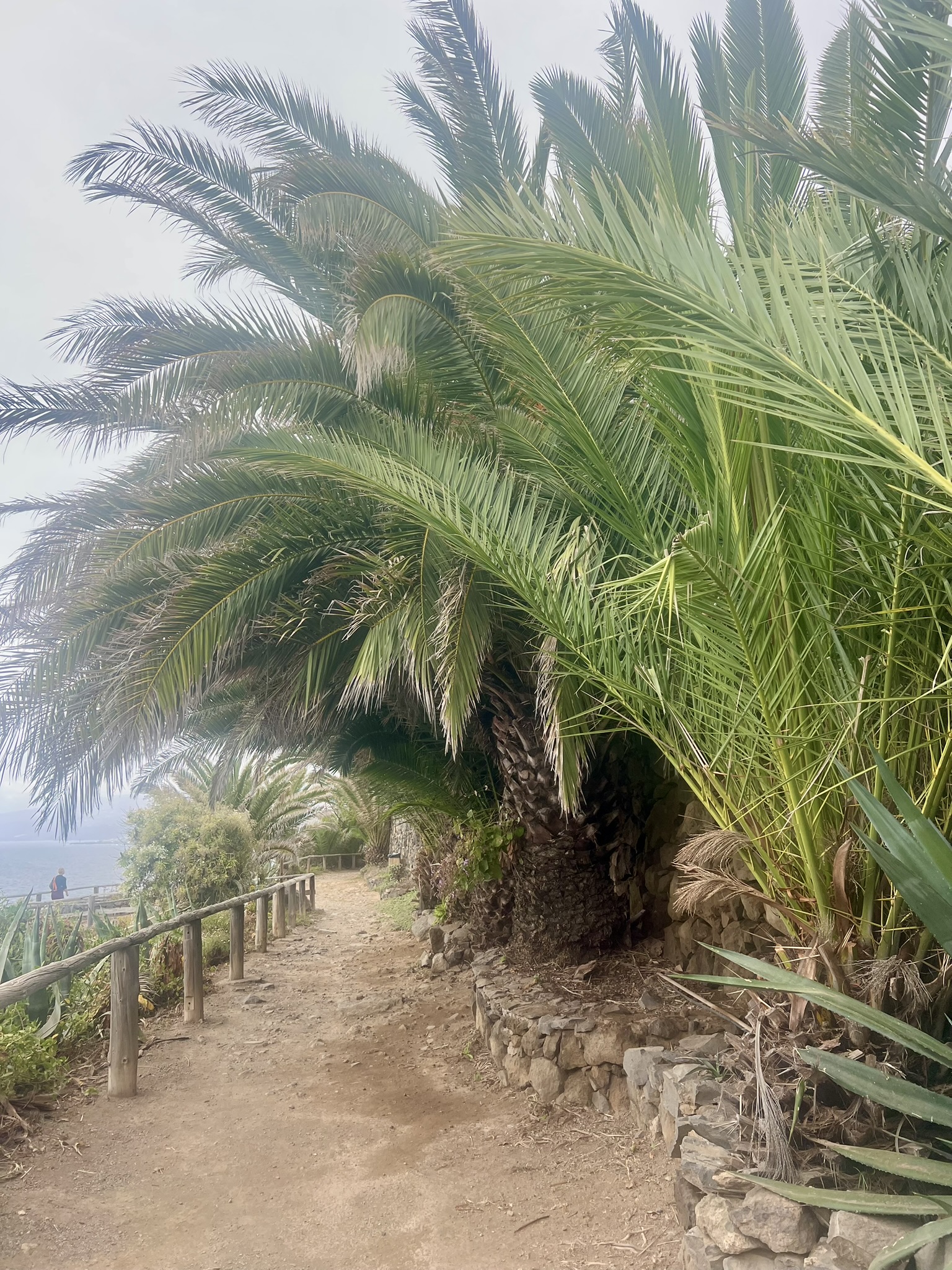 Hike photo 7