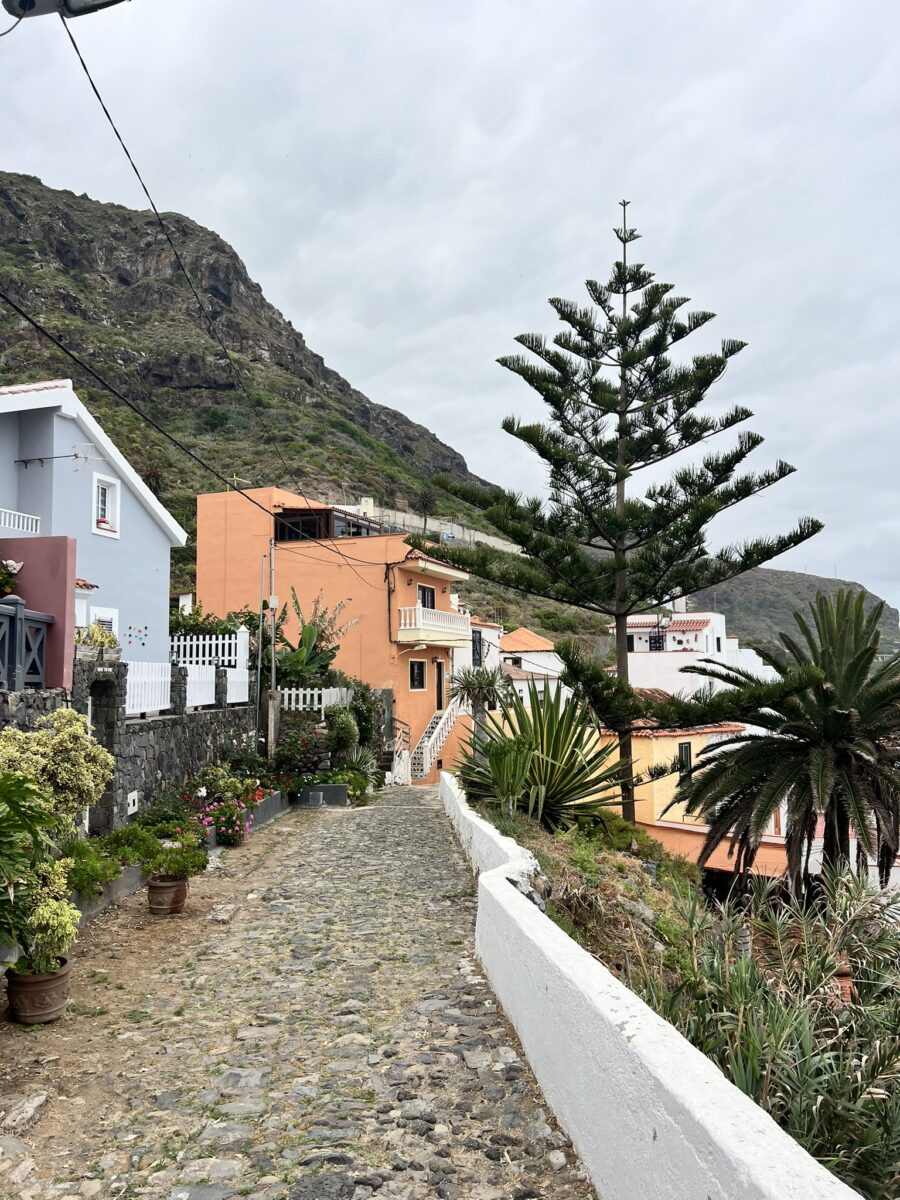 El Rosario – Las Aguas Trail | Tenerife North