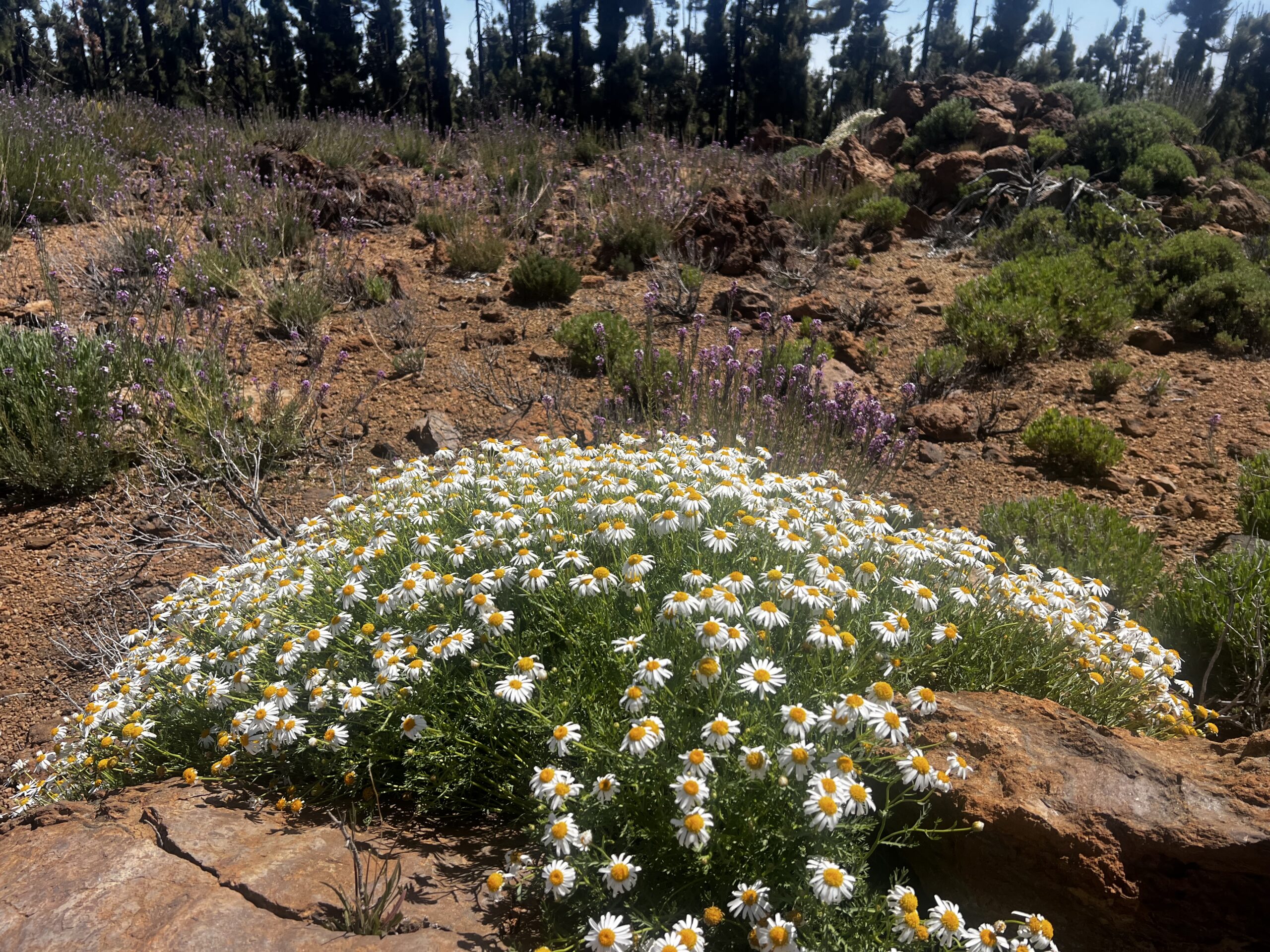 Hike photo 6