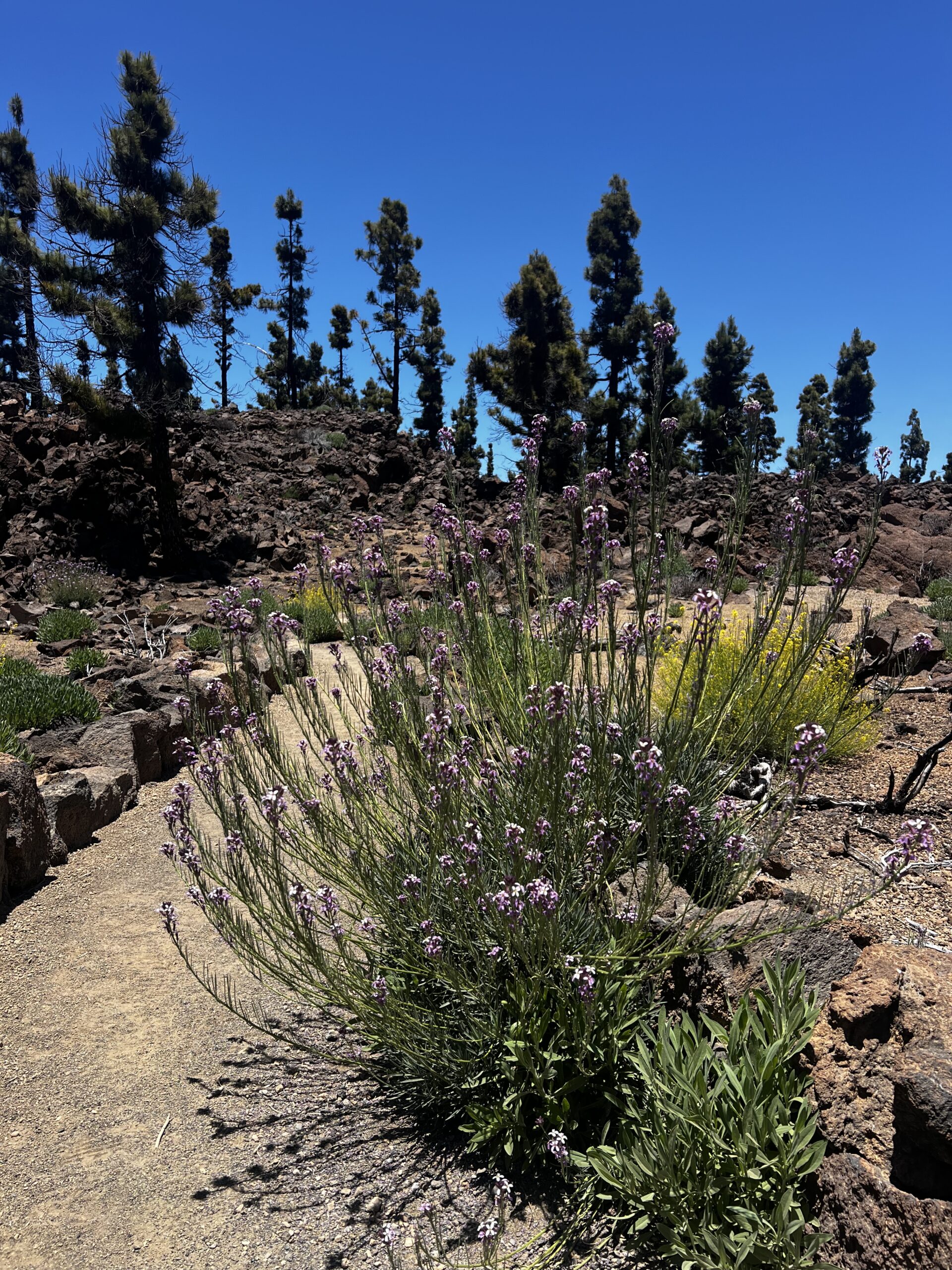 Hike photo 3
