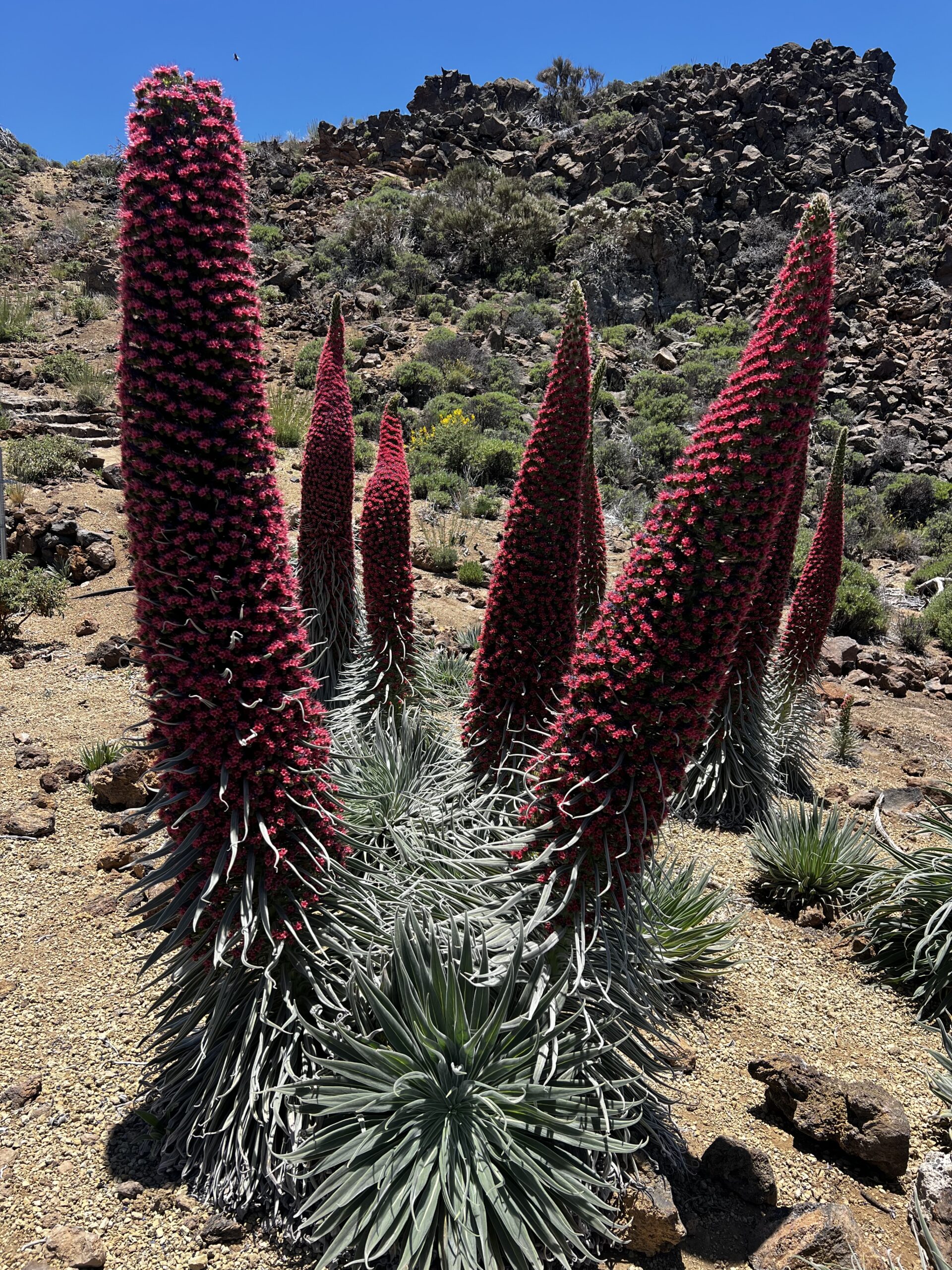 Hike photo 7
