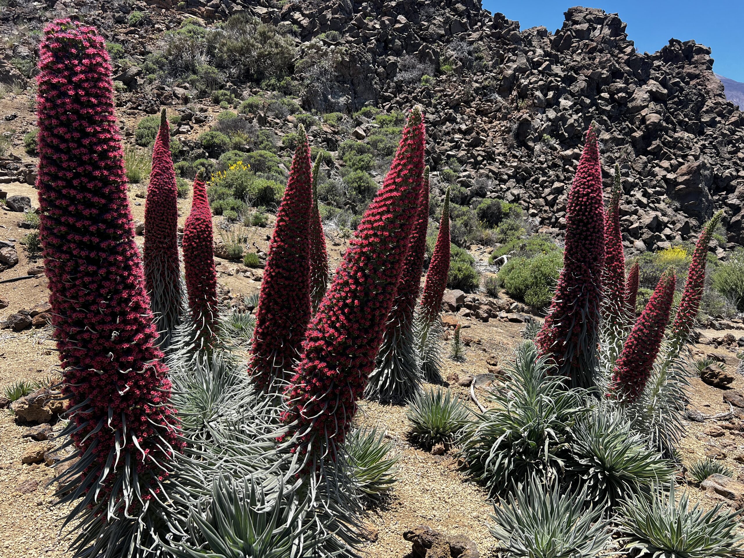 Hike photo 4